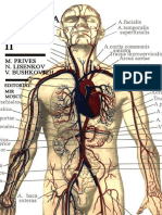 Anatomia Humana Tomo 2 Prives