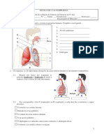 8700358-Ficha-de-Avaliacao-de-Ciencias-da-Natureza-do-6º-Ano-Sistema-Respiratorio.pdf