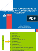 Constit. y Func. CPHS Seremi de Salud