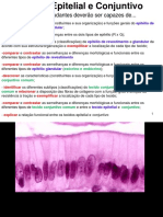 Aula 1 Tecido Epitelial e Conjuntivo VET 2017