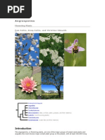 Download Angiosperms by cfljunior SN37187287 doc pdf