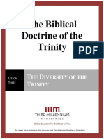The Biblical Doctrine of the Trinity – Lesson 3 – Forum Manuscript