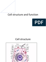 Cell structure and key organelles