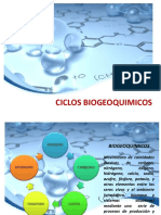 2 Ciclos Biogeoquimicos