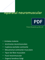 Aparat Neuromuscular