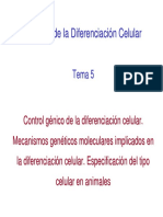 Tema 5 BDC. Control Gxnico de La Diferenciacixn Celular