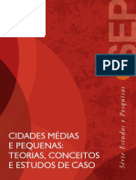 cidades médias e pequenas teorias, conceitos e estudos de caso.pdf