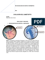 Evolucion Del Gametofito
