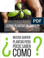 ¿Cómo Plantar Un Árbol?