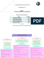 Actividad de Organización y Jerarquización. E2