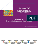 ECB3e_Chapter_03.ppt