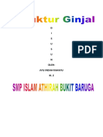 41531960-Struktur-ginjal.docx