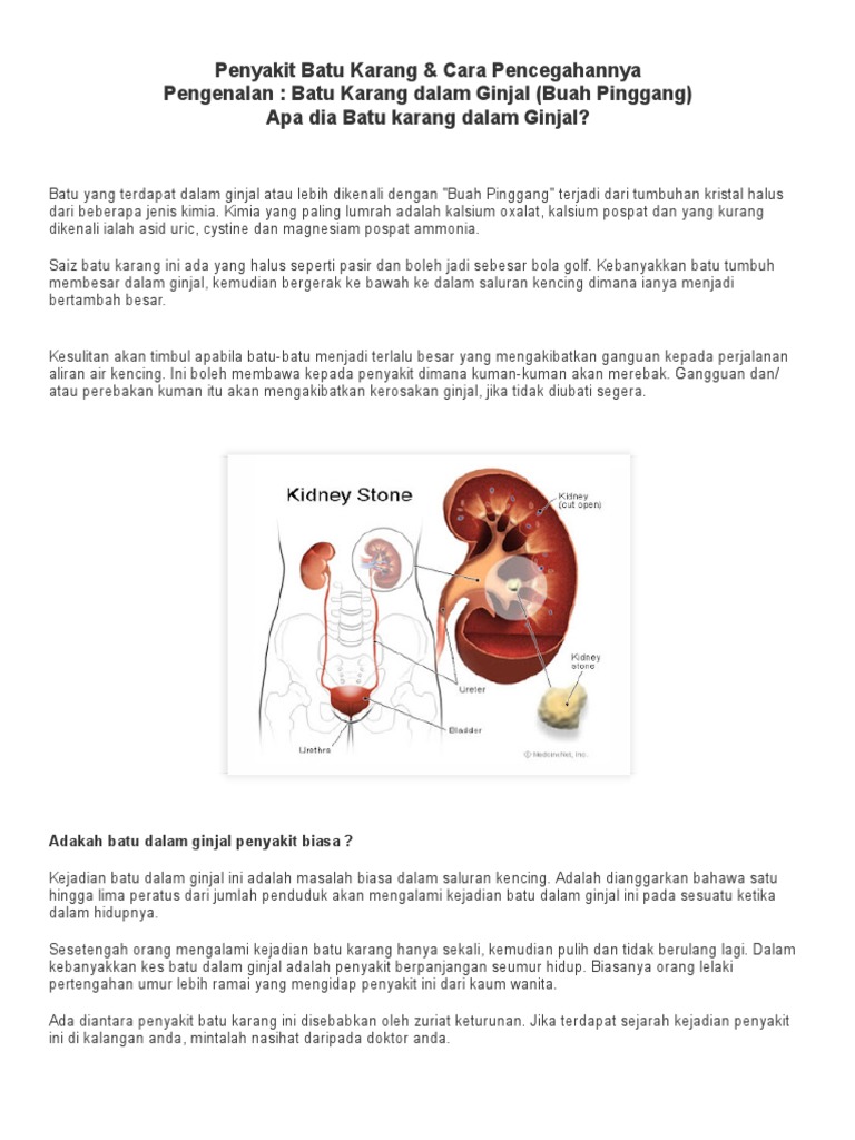 Tips Elakkan Masalah Sakit Batu Karang Berulang  PDF