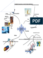 Mapa Mental de Investigación de Operaciones y A Través Del Trabajo Colaborativo