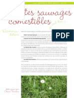 atelier-plantes-sauvages.pdf