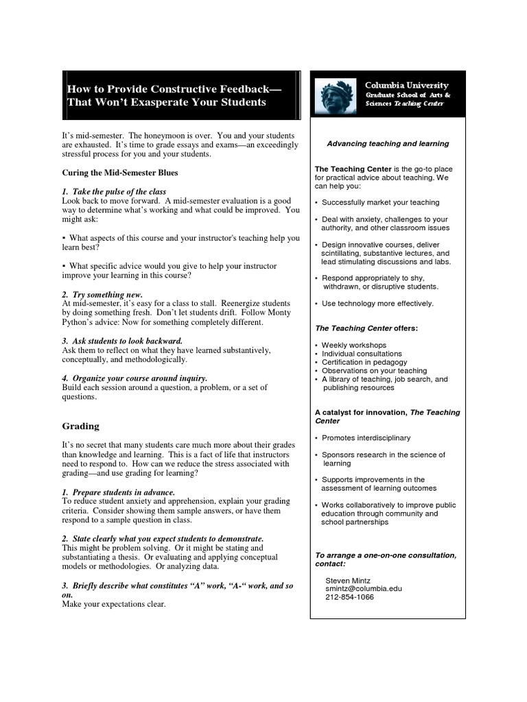 Feedback Pdf Pdf Essays Argument