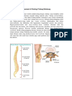 Anatomi LOW BACK PAIN