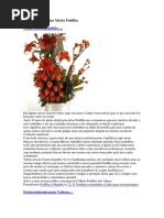 Trabalhos de Dona Maria Padilha