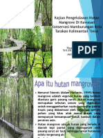 Presentasi Hutan Mangrove Youdi
