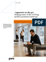 Pwc Payments on the Go