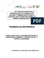 TdR Informe Mineria y Violencia - ASECSA