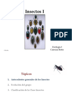 Clase Insectos 1 PDF