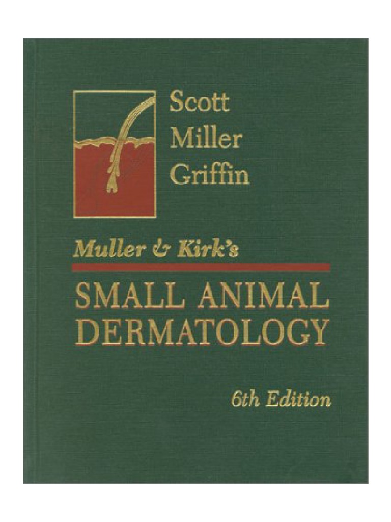 Small Animal Dermatology Skin Hair