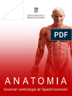 Anatomia - Anònim