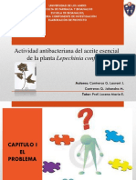 Diapositivas_Tesis.pptx