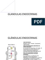 GLÁNDULAS ENDOCRINAS (3).pptx