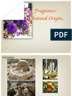 Flavor and Fragrance Materials of Natural Origin