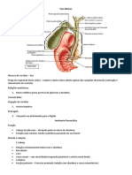 03.10 Vias Biliares e Pancreática