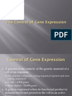 05 Control Gene Expression Fall 17