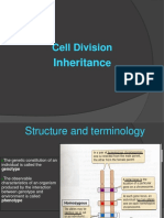 Cell Division E: Inheritanc