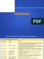 02 Proteins Fall 17