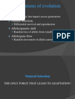 4 Mechanisms of Evolution: Mutations Natural Selection. Allelic/genetic Drift Allele/gene Flow