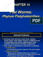 Flat Worms: Flat Worms