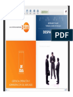 Despacho Ideal PDF