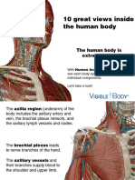 VB_AnatomyAtlas_Preview_112513.pdf