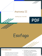 Esofago & Estomago
