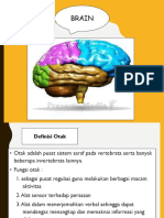 Ppt Anatomi Otak Kel.1