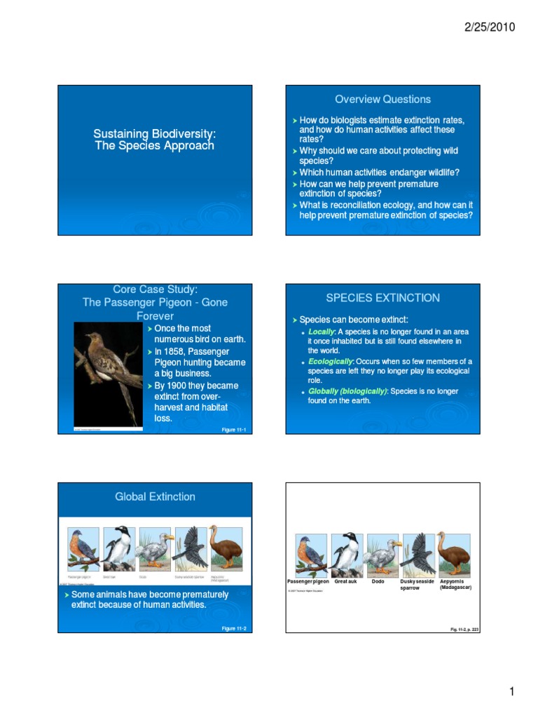 Biodiversity and Conservation PDF | PDF | Extinction | Endangered Species