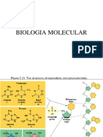 Biologia Molecular 1