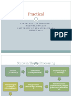 Tissue Processing Steps