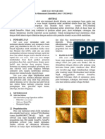Tugas Side Scan Sonar c552140121 PDF