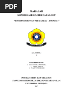 Download Makalah Ksdl Kel 9 Konservasi Penyu Di Indonesia by septi hermialingga SN372005821 doc pdf