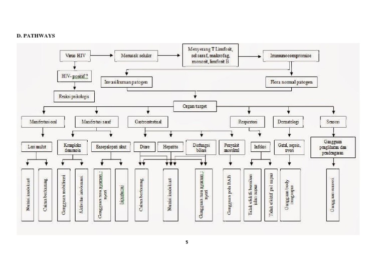 Pathways | PDF