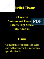 A & P Epithelia Tissue Lecture