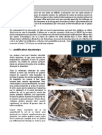 guide-semis-de-surface.pdf