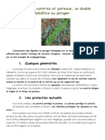associer-carottes-et-poireaux-un-double-bnfice-au-potager.pdf